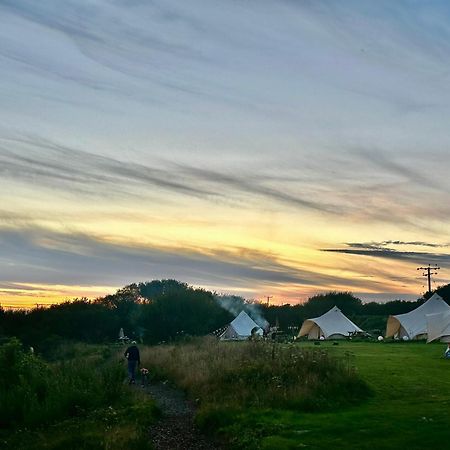Lakeside Glamping Firecrest St Columb Major Eksteriør bilde