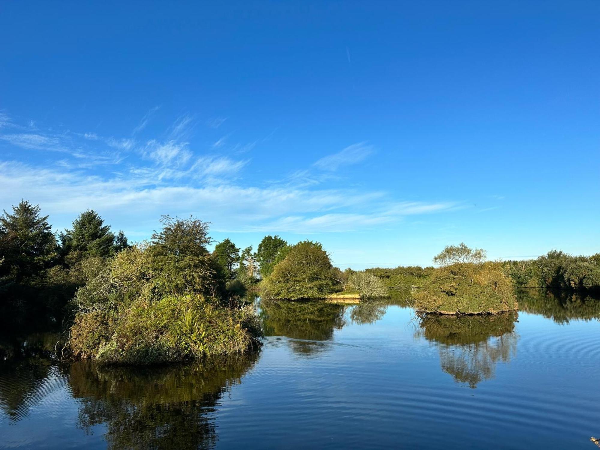 Lakeside Glamping Firecrest St Columb Major Eksteriør bilde
