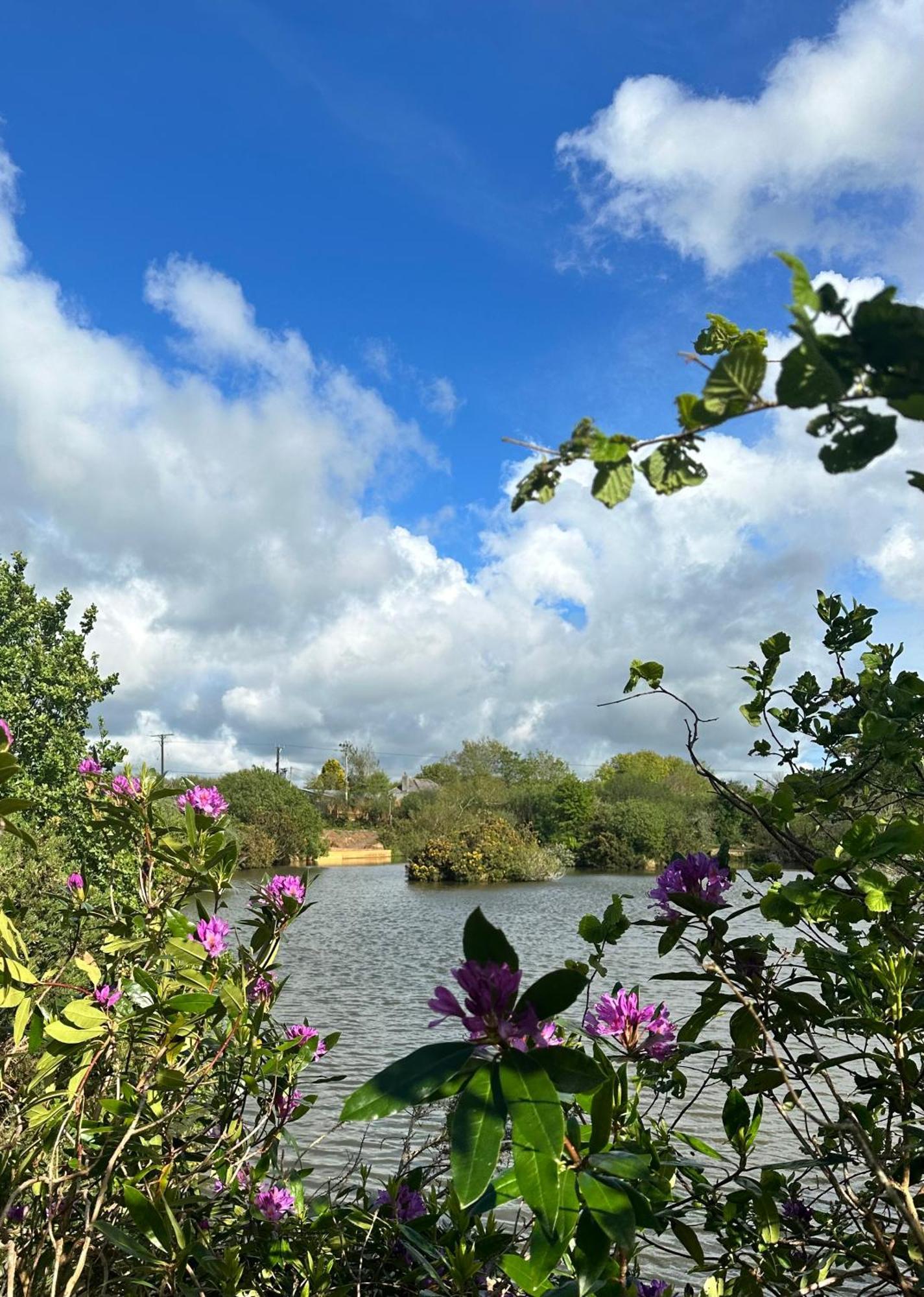 Lakeside Glamping Firecrest St Columb Major Eksteriør bilde