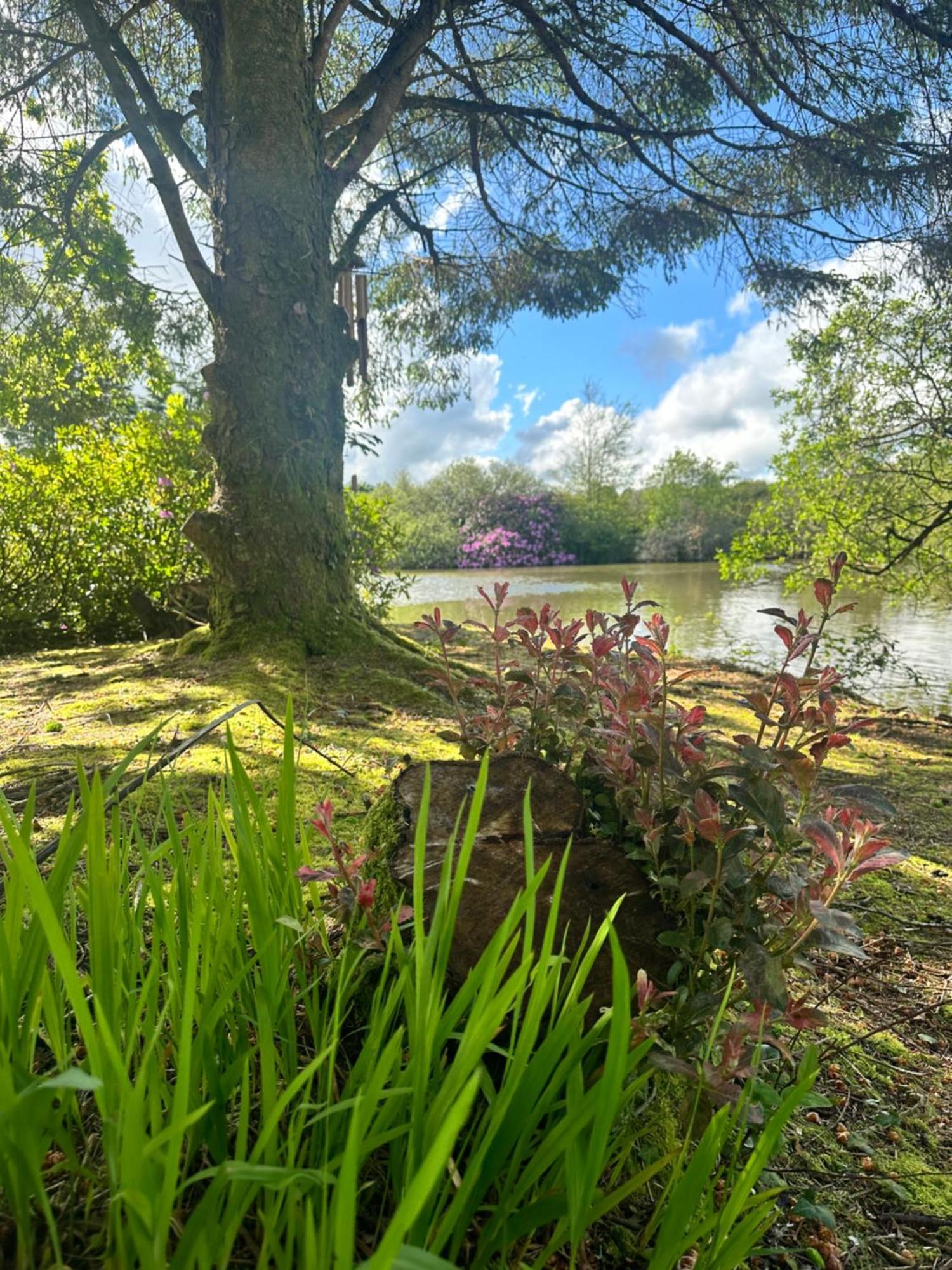 Lakeside Glamping Firecrest St Columb Major Eksteriør bilde