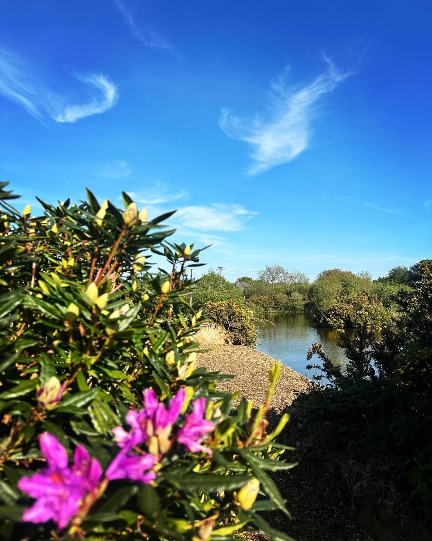 Lakeside Glamping Firecrest St Columb Major Eksteriør bilde