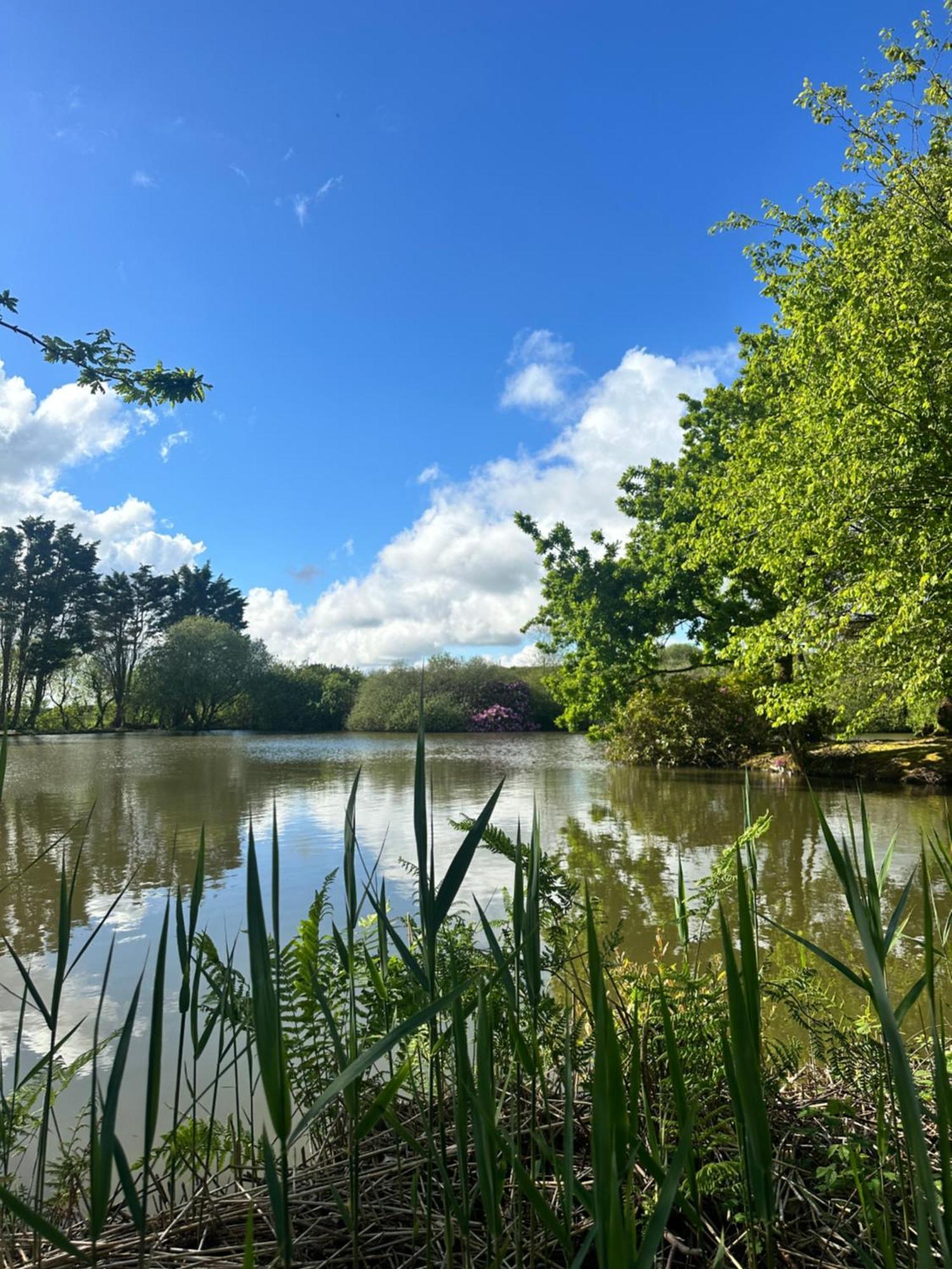 Lakeside Glamping Firecrest St Columb Major Eksteriør bilde