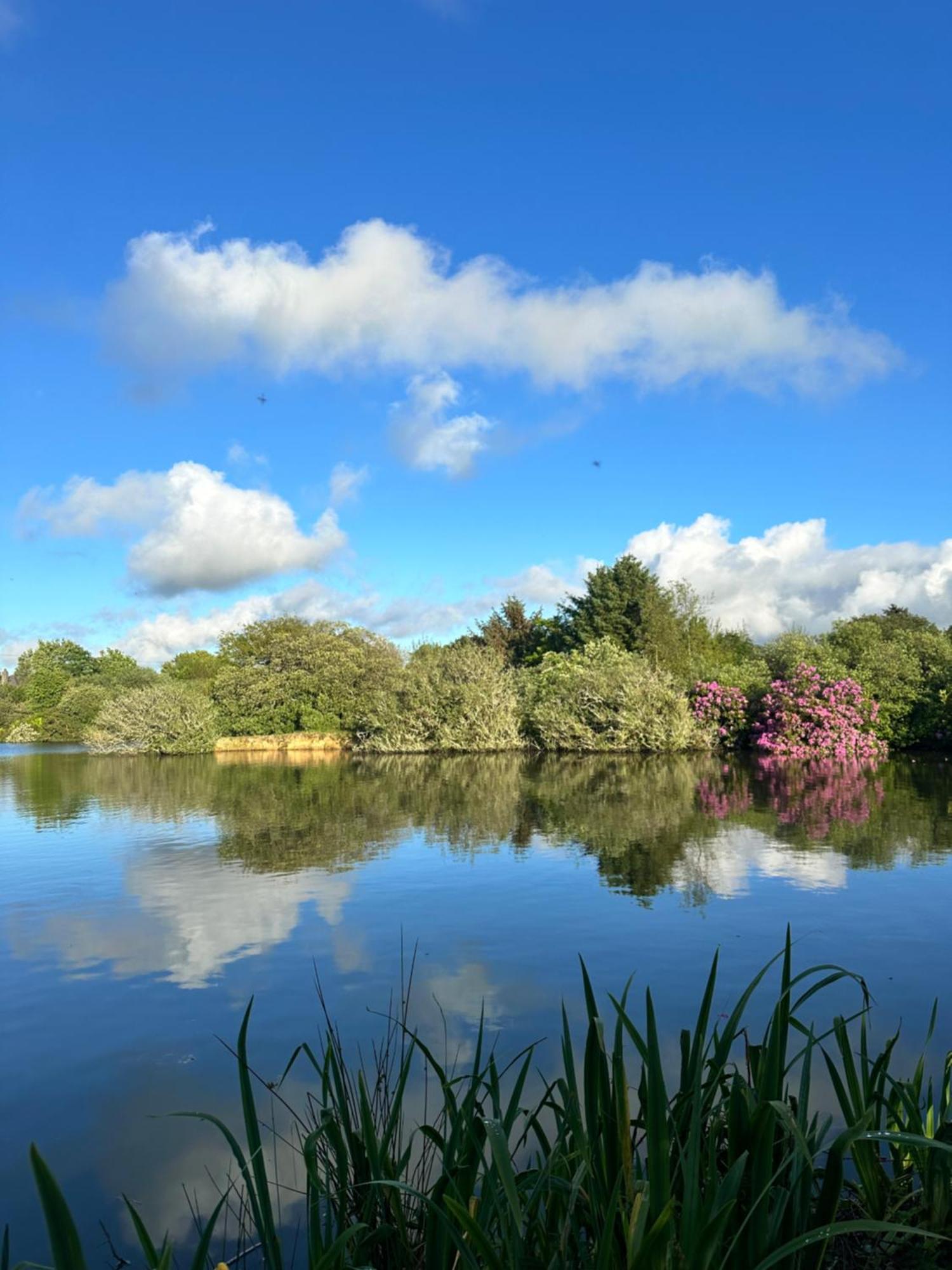 Lakeside Glamping Firecrest St Columb Major Eksteriør bilde