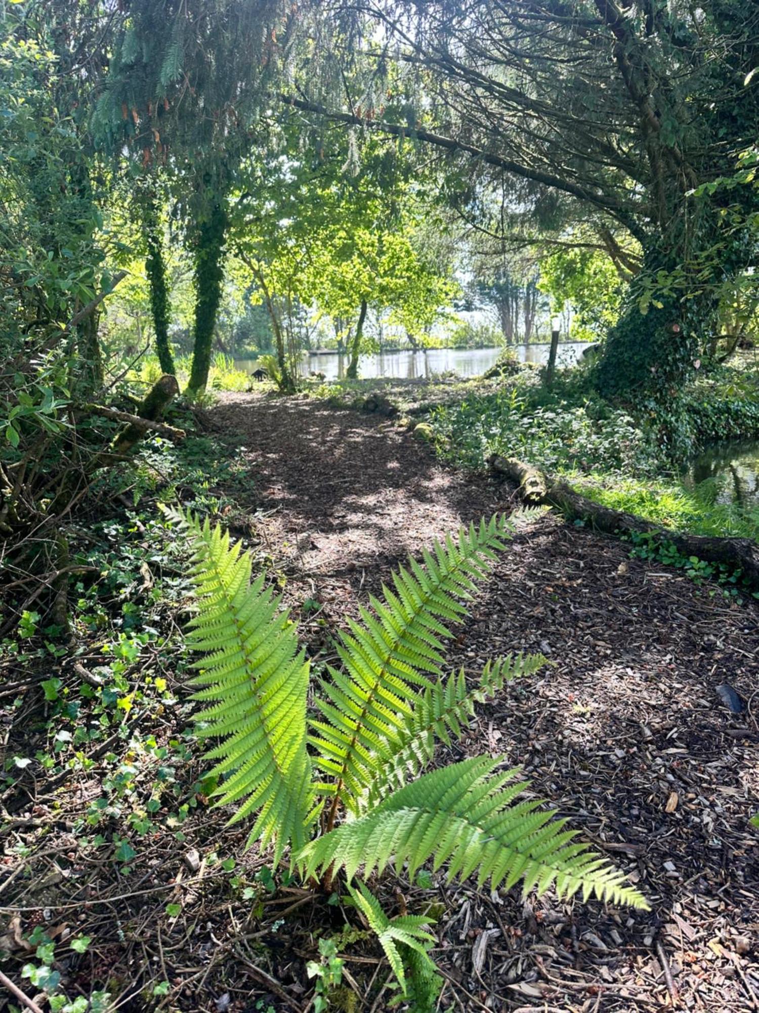 Lakeside Glamping Firecrest St Columb Major Eksteriør bilde